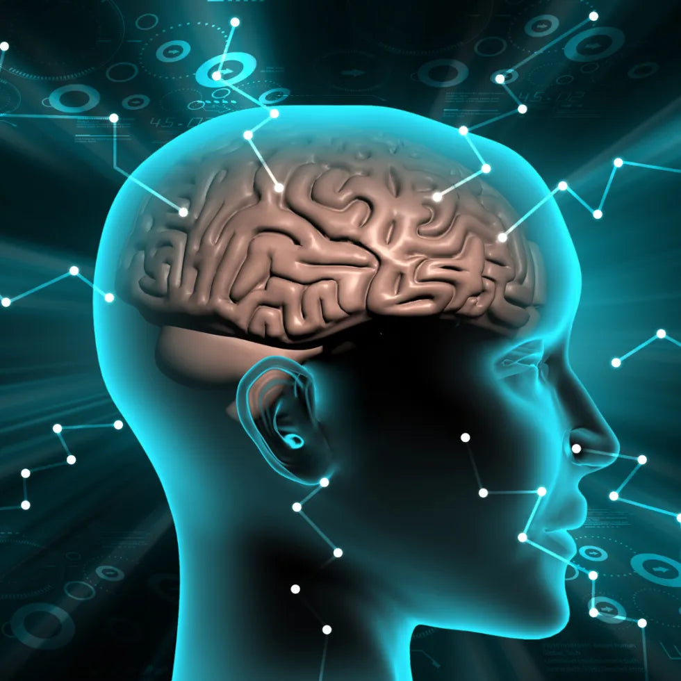 Maximize Your Brain Power with MolecularHydrogen Supplements