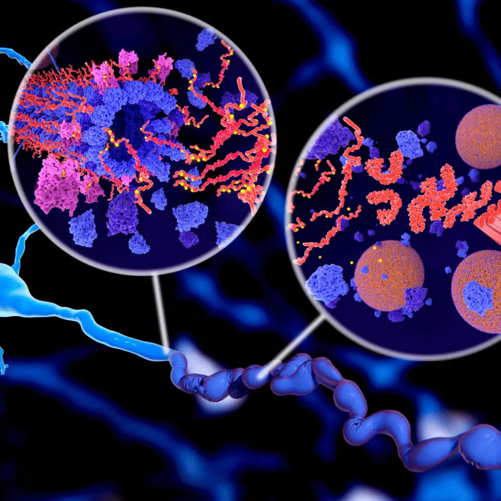 Small Molecule, Big Impact: How Molecular Hydrogen Transforms Cellular Health