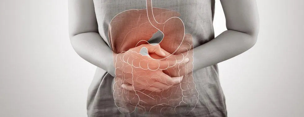 The Gut Microbiome and The Benefits of H2 Supplements Life Extension Tablets
