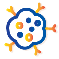 multicolumn_image